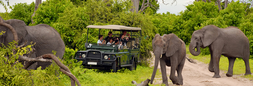 Safari en Tanzanie