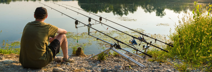 Pratiquer la pêche à la carpe